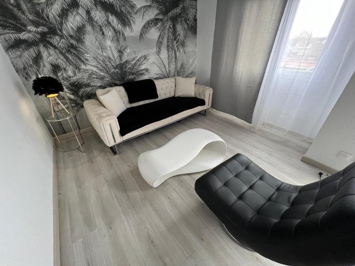 Le Cannois, Appartement De Star 3 Chambres Мюлуз Экстерьер фото